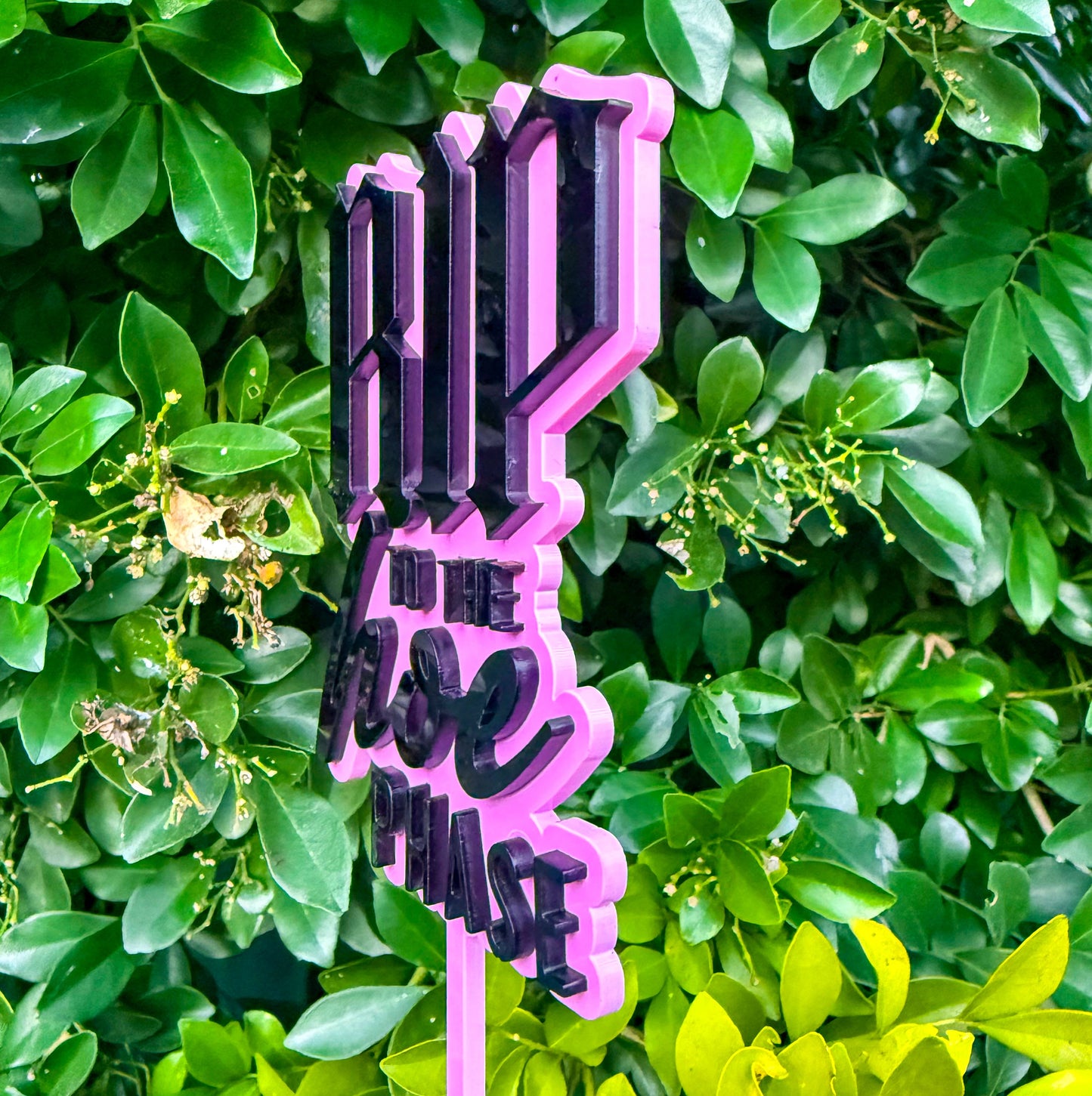RIP to the hoe phase cake topper