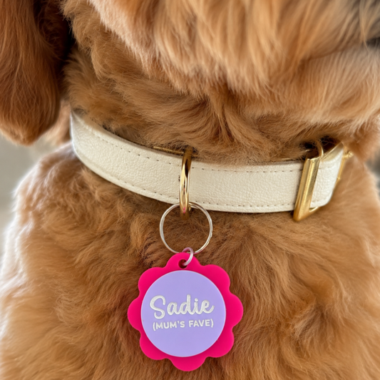 'Return to Sender' Custom Dog Tags